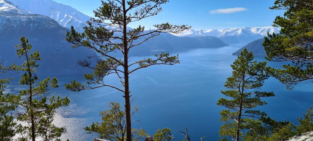 Timblalodgen Sogndal Ngoại thất bức ảnh